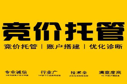 案例分析：SEM优化师如何优化广告投放策略